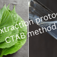 DNA extraction protocol by CTAB method